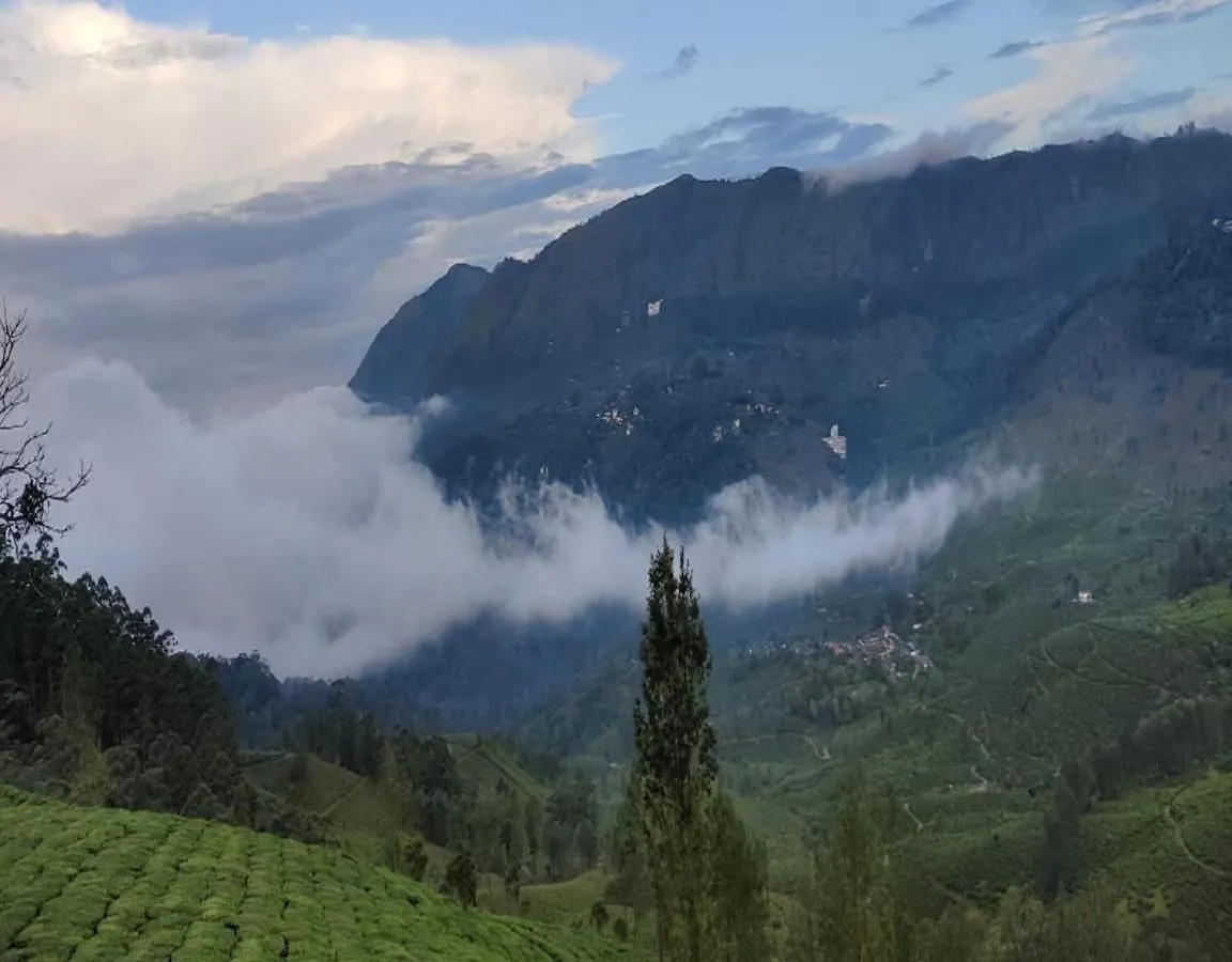 Beauty Spot Munnar Hotel