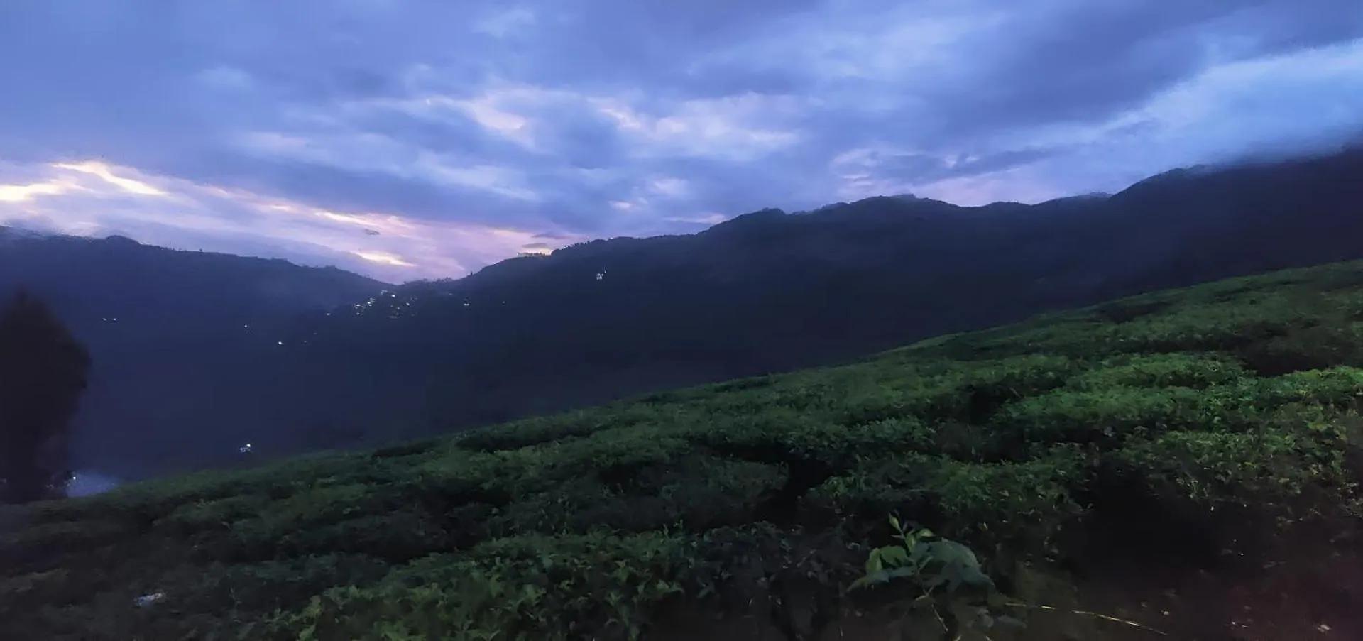 Beauty Spot Munnar Hotel