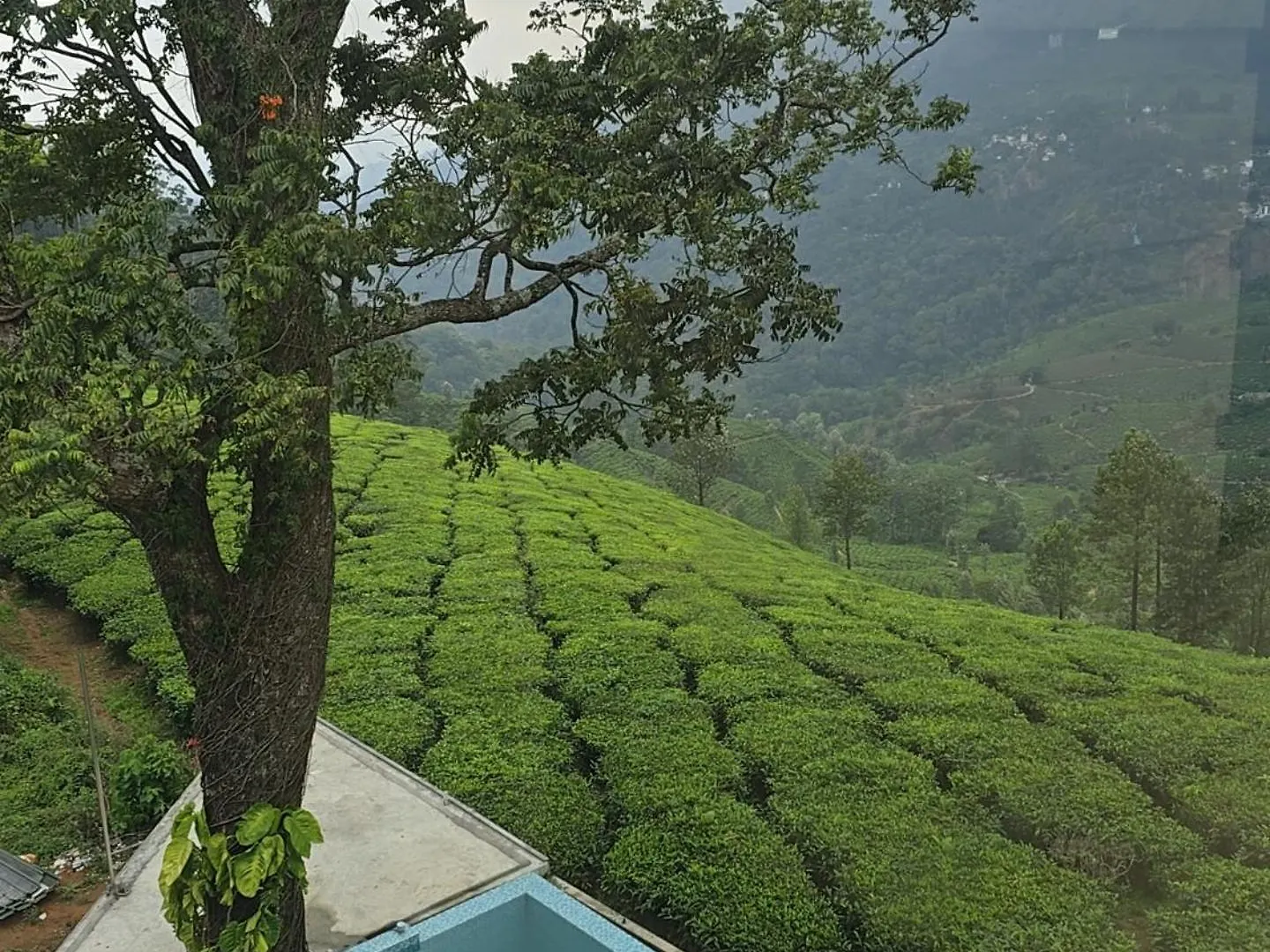 Beauty Spot Munnar Hotel