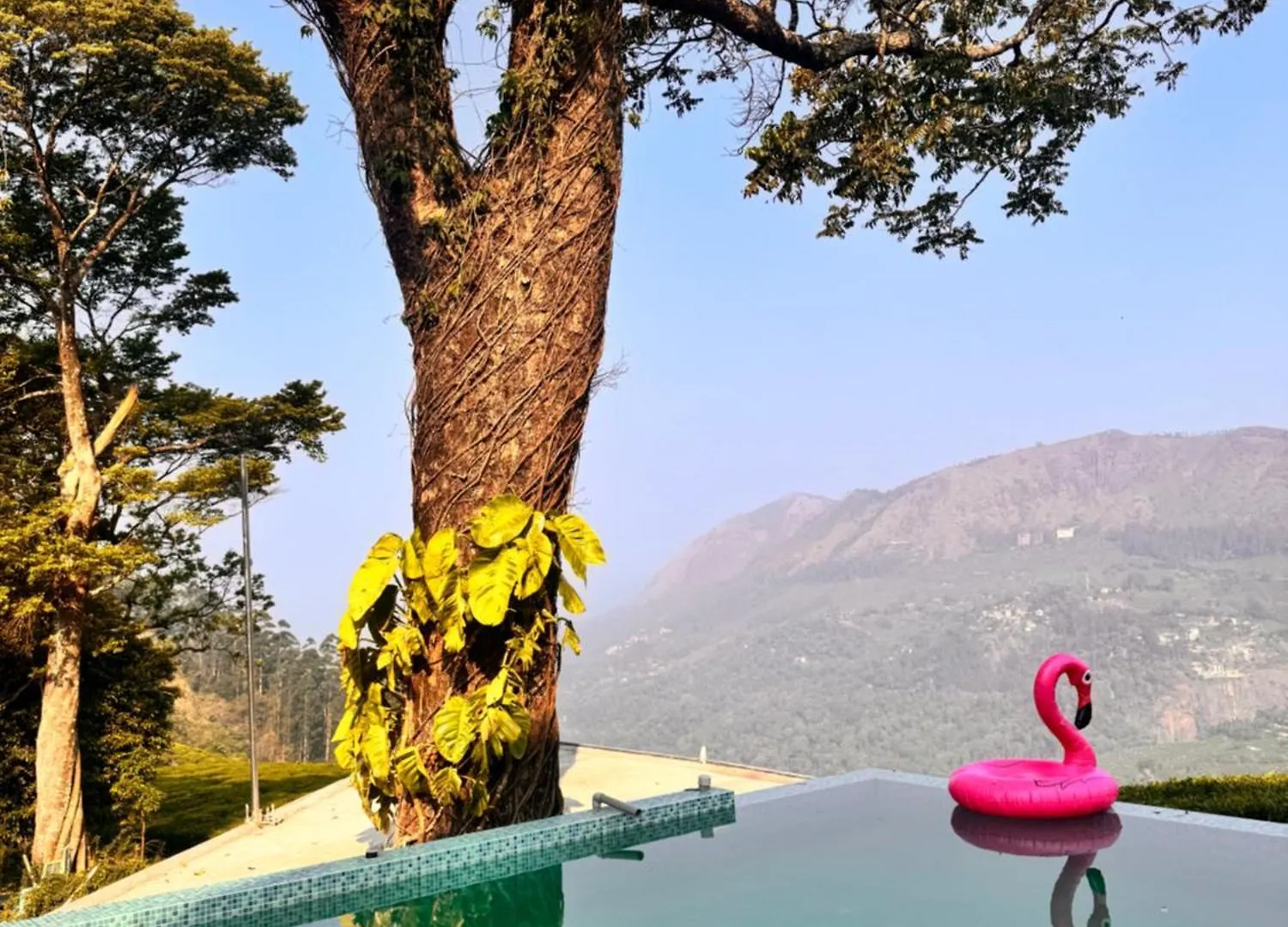 Beauty Spot Munnar Hotel